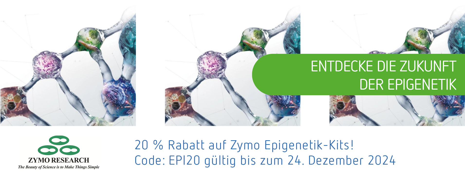 Zymo Epigenetik-Kits - 20% bis 24.12.24